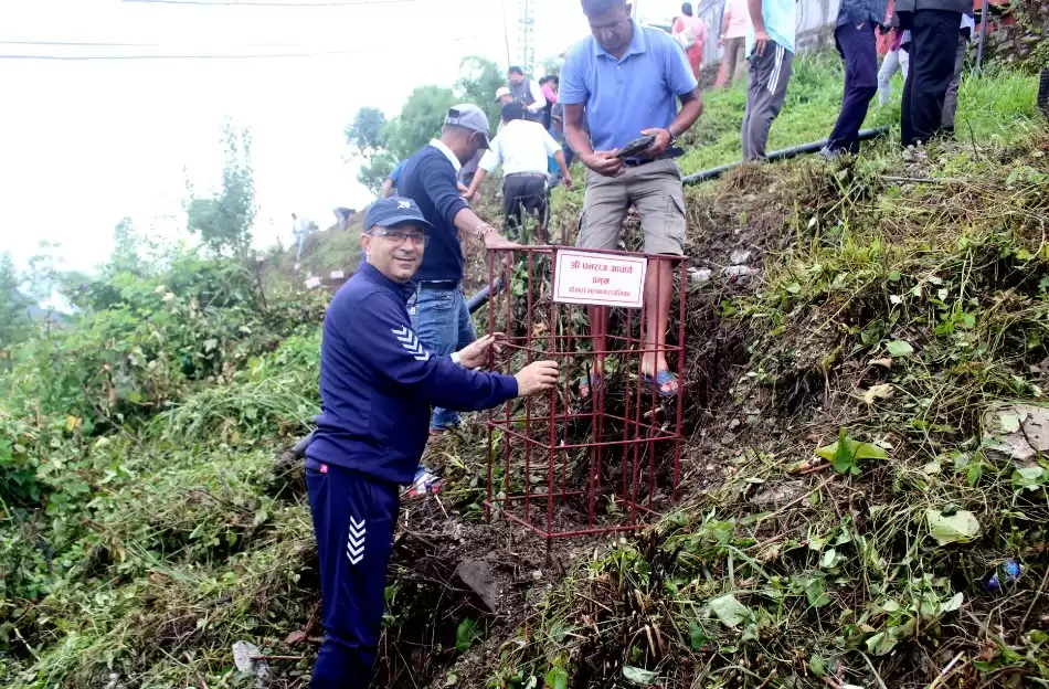 महानगर मेयरहरुले पोखरामा राेपे लालीगुराँस