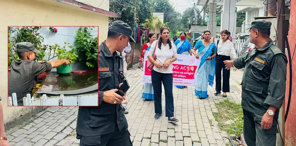 काठमाडौँ महानगरमा डेङ्गी संक्रमणमा उतारचढाव, लार्भा खोजेर नष्ट गर्ने अभियान जारी
