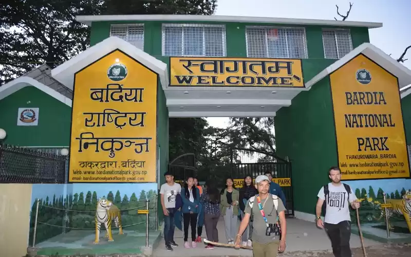 बाघ हेर्न बर्दिया राष्ट्रिय निकुञ्जमा पर्यटक बढे